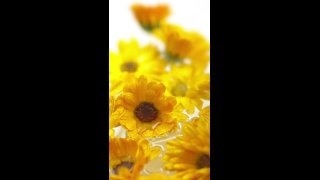 Könnyedén kimondani Meditáció