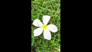 Vedd kezedbe az életedet meditáció