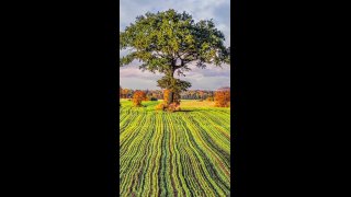 Biztonságban vagyok meditáció