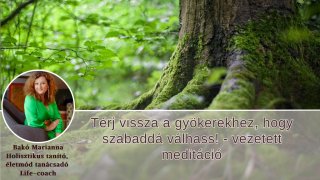 Térj vissza a gyökerekhez- vezetett meditáció