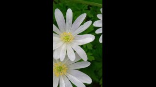 9. meditáció Önértékelés meditáció