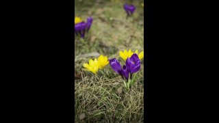 5. meditáció. Félelemből a magabiztosságba
