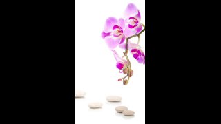 Napindító tiszta szándék meditáció