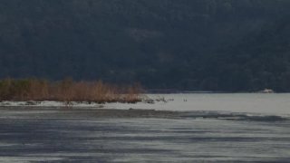 Reggeli fókusz meditáció.  Nyugalom