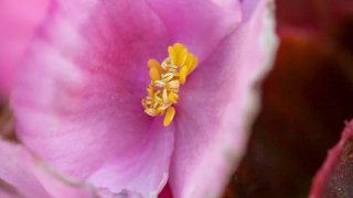 Reggeli fókusz meditáció: Tudatosság