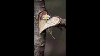 Érzékelés és egység